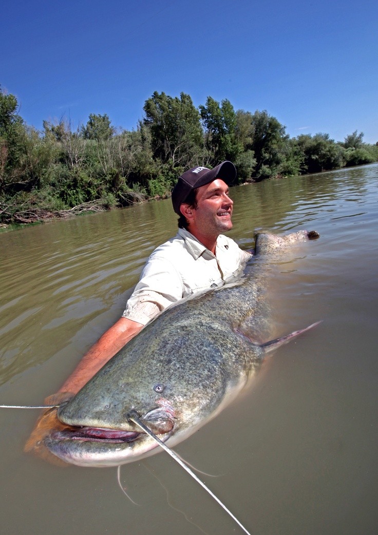 Photo:  Spanish River to catch Monster fish